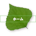 ホーム