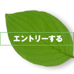 エントリーする