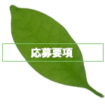 応募要項へ