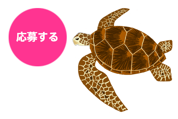 エントリーする
